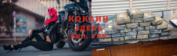 крисы Алзамай