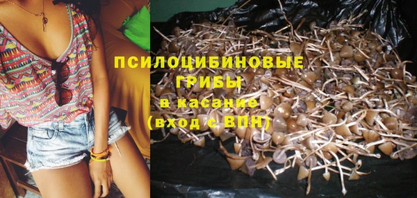 соль курить ск Алексин