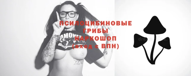 крисы Алексеевка