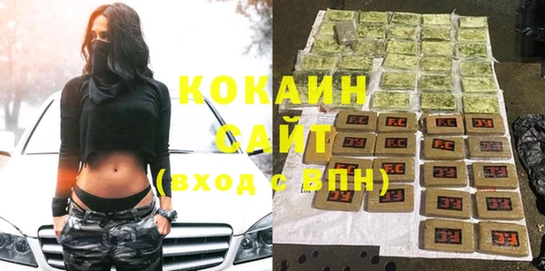крисы Алзамай