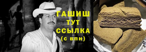 крисы Алзамай