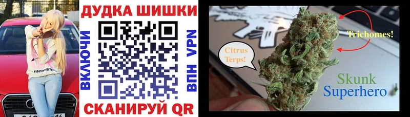 Канабис план  где можно купить наркотик  Кочубеевское 